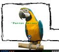 Thumbnail for version as of 21:54, 9 November 2019